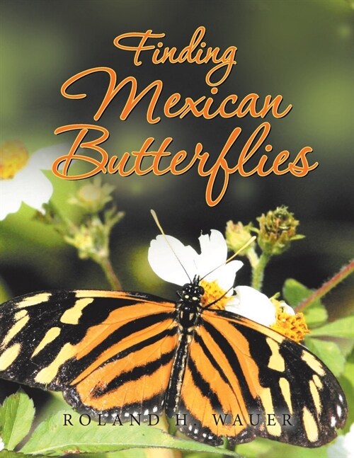 Finding Mexican Butterflies (Paperback)