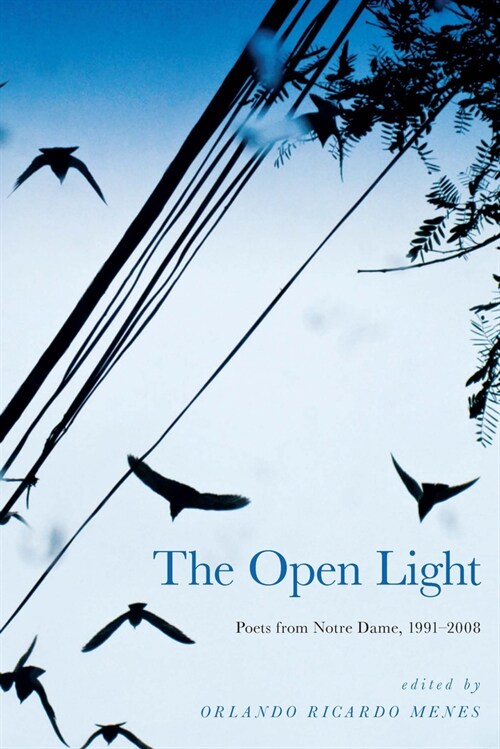 The Open Light: Poets from Notre Dame, 1991-2008 (Hardcover)