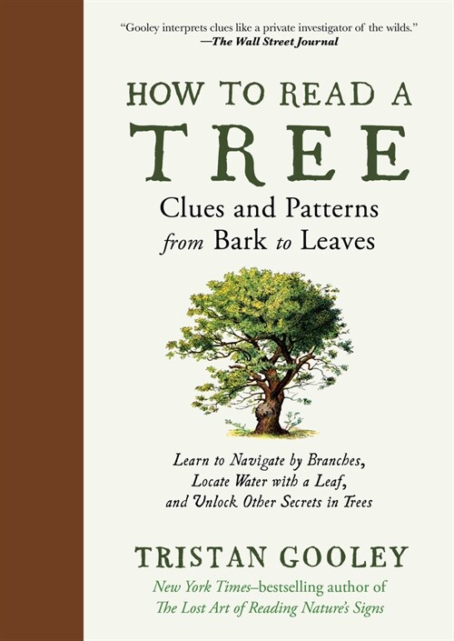 How to Read a Tree: Clues and Patterns from Bark to Leaves (Hardcover)