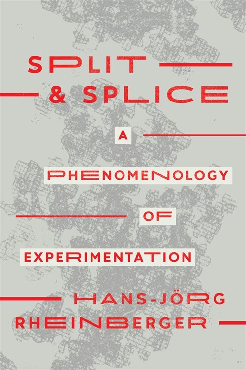 Split and Splice: A Phenomenology of Experimentation (Paperback)