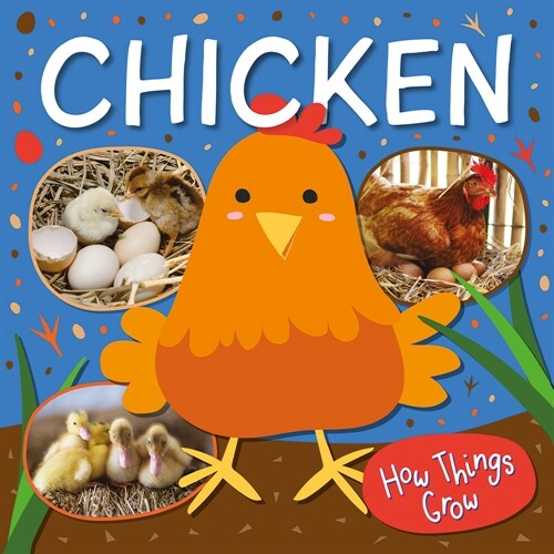 Chicken (Library Binding)