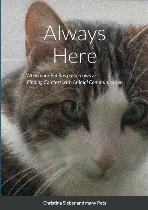 Always Here: When your Pet has passed away (Paperback)