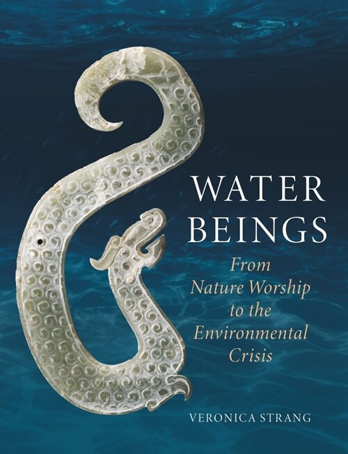 Water Beings : From Nature Worship to the Environmental Crisis (Hardcover)