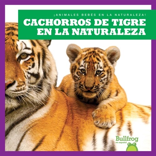 Cachorros de Tigre En La Naturaleza (Tiger Cubs in the Wild) (Paperback)