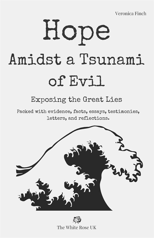 Hope Amidst a Tsunami of Evil: Exposing the Great Lies (Paperback)