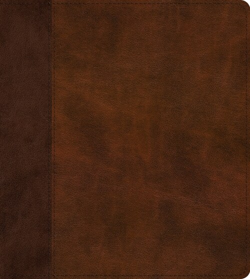 ESV Journaling Study Bible (Trutone, Brown/Chestnut, Timeless Design) (Imitation Leather)