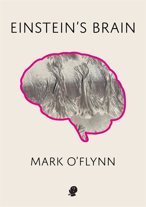 Einsteins Brain (Paperback)