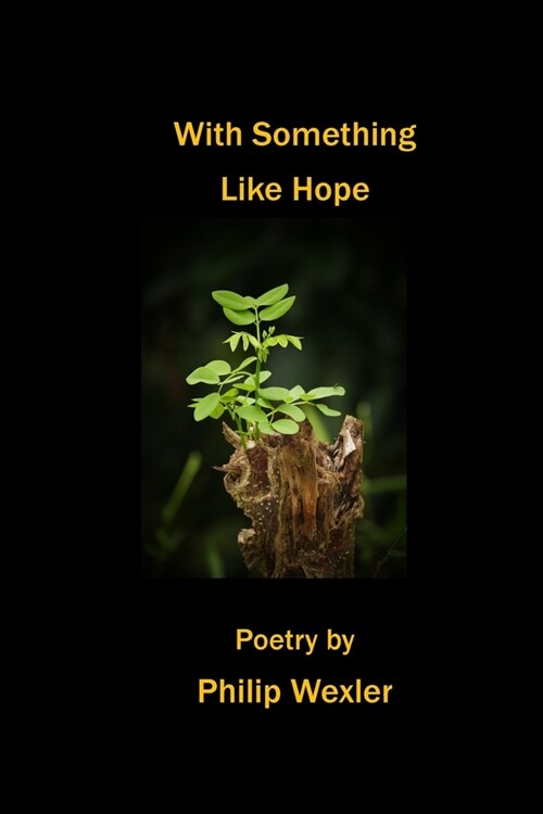 With Something Like Hope (Paperback)