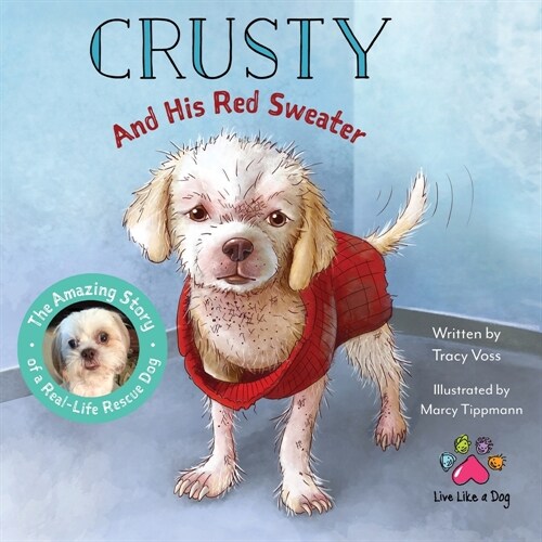 Crusty and His Red Sweater (Paperback)