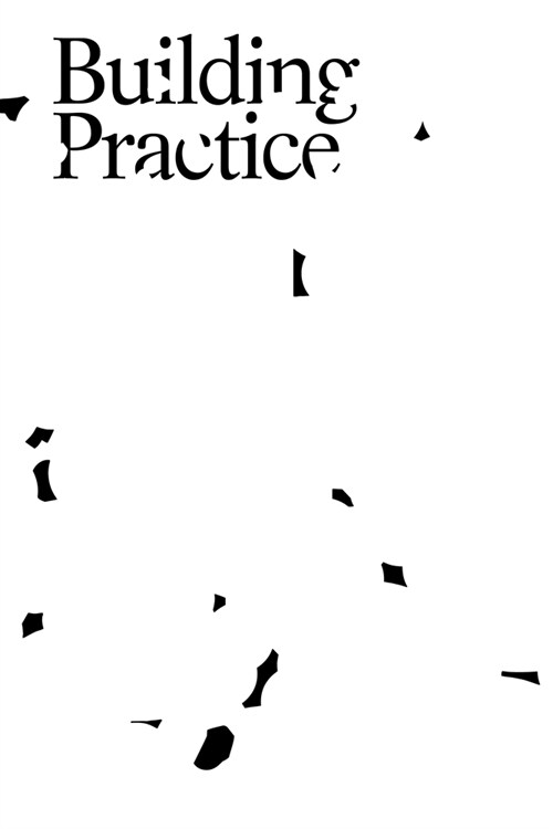 Building Practice (Paperback)