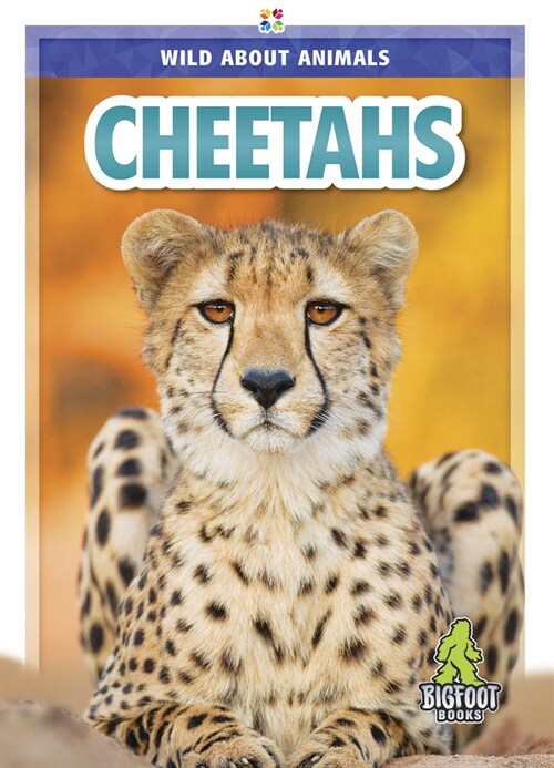 Cheetahs (Hardcover)