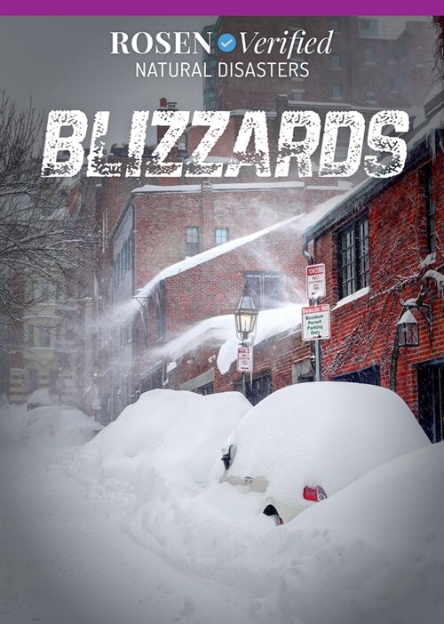 Blizzards (Paperback)