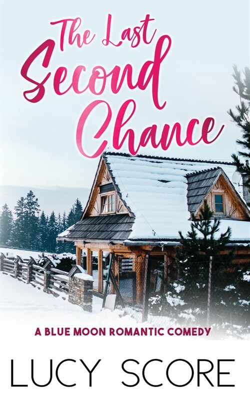 Last Second Chance (Paperback)