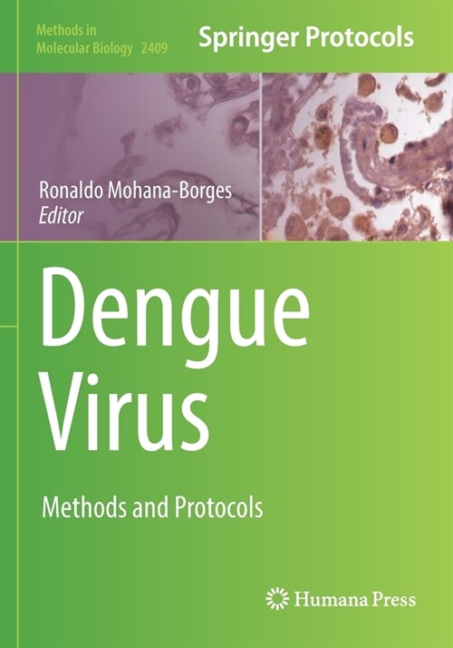 Dengue Virus: Methods and Protocols (Paperback, 2022)