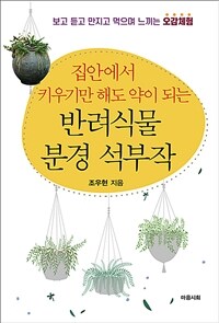 반려식물 분경 석부작 - 집안에서 키우기만 해도 약이 되는