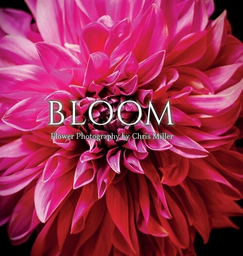 Bloom: Flower Photography by Chris Miller (Hardcover)