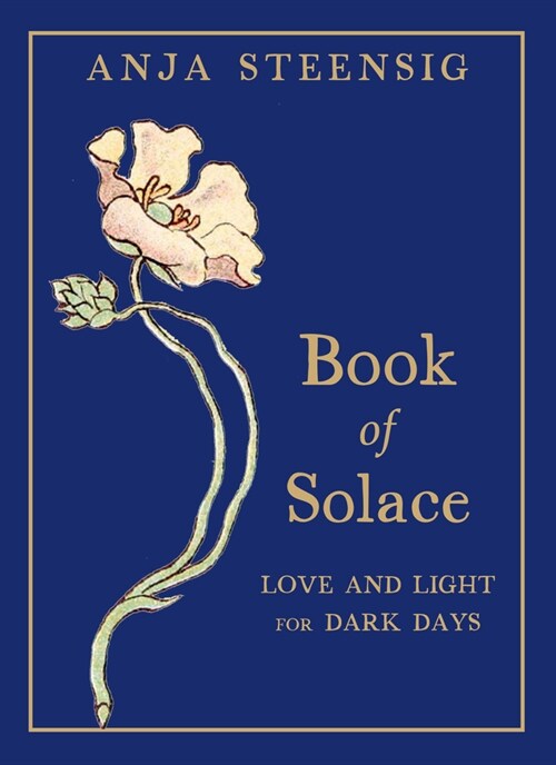 Book of Solace: Love and Light for Dark Days (Paperback)