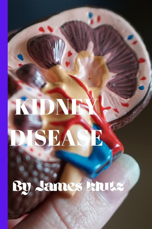 Kidney disease (Paperback)