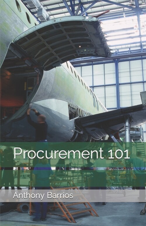 Procurement 101 (Paperback)