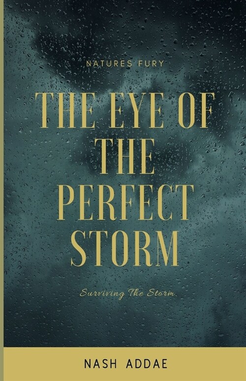 The Eye of The Perfect Storm: Survival Of The Fittest (Paperback)
