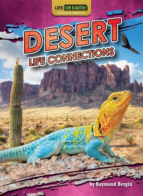 Desert Life Connections (Paperback)