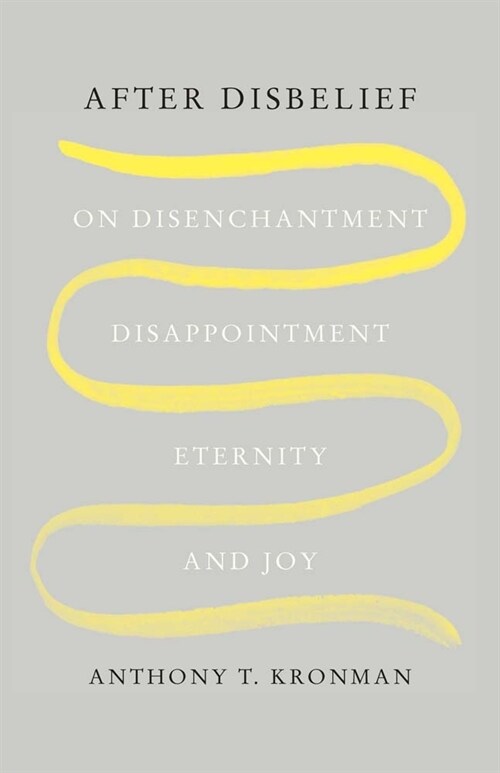 After Disbelief: On Disenchantment, Disappointment, Eternity, and Joy (Paperback)