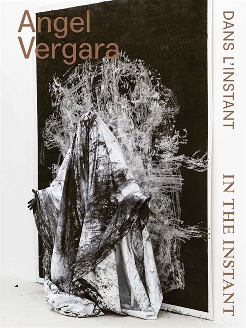 Angel Vergara: In the Instant (Hardcover)