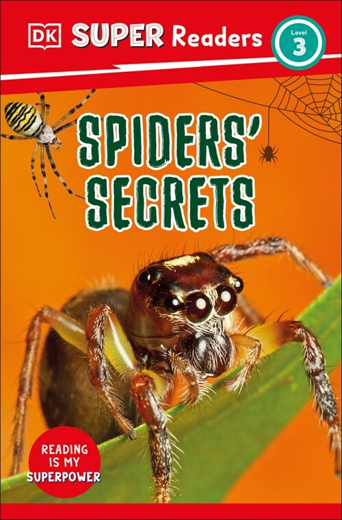 DK Super Readers Level 3 Spiders Secrets (Hardcover)