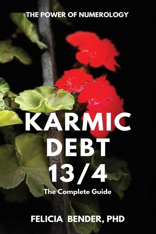 The Power of Numerology: Karmic Debt 13/4 (Paperback)