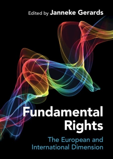 Fundamental Rights : The European and International Dimension (Hardcover)