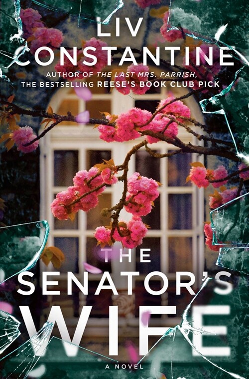 The Senators Wife (Hardcover)