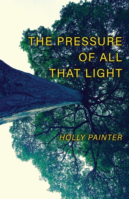 The Pressure of All That Light (Paperback)