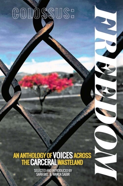 Colossus: Freedom an Anthology of Voices Across the Carceral Wasteland (Paperback)