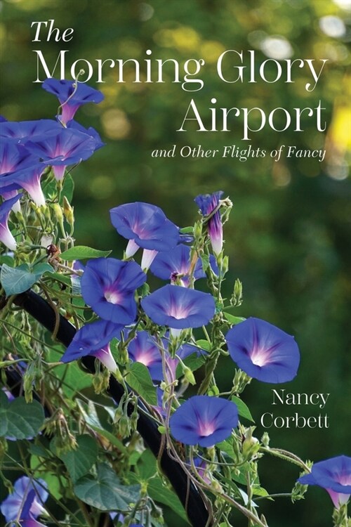 The Morning Glory Airport and Other Flights of Fancy (Paperback)