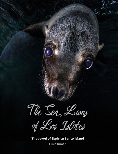 The Sea Lions of Los Islotes : The Jewel of Espiritu Santo Island (Paperback, 2 ed)