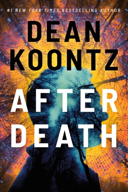 After Death (Hardcover)