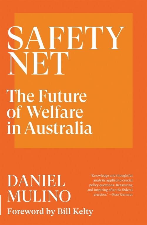 Safety Net (Paperback)