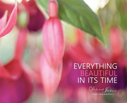 Everything Beautiful in Its Time (Hardcover)
