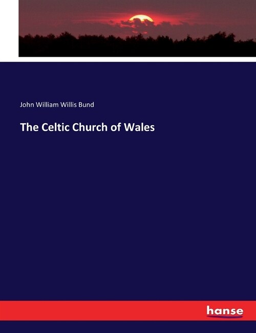 The Celtic Church of Wales (Paperback)