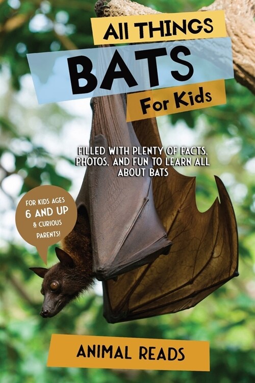 All Things Bats For Kids: Filled With Plenty of Facts, Photos, and Fun to Learn all About Bats (Paperback)