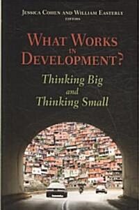 What Works in Development?: Thinking Big and Thinking Small (Paperback)