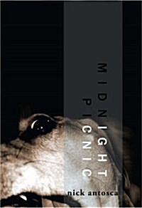 Midnight Picnic (Paperback)