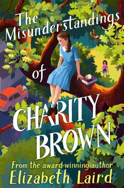The Misunderstandings of Charity Brown (Paperback)
