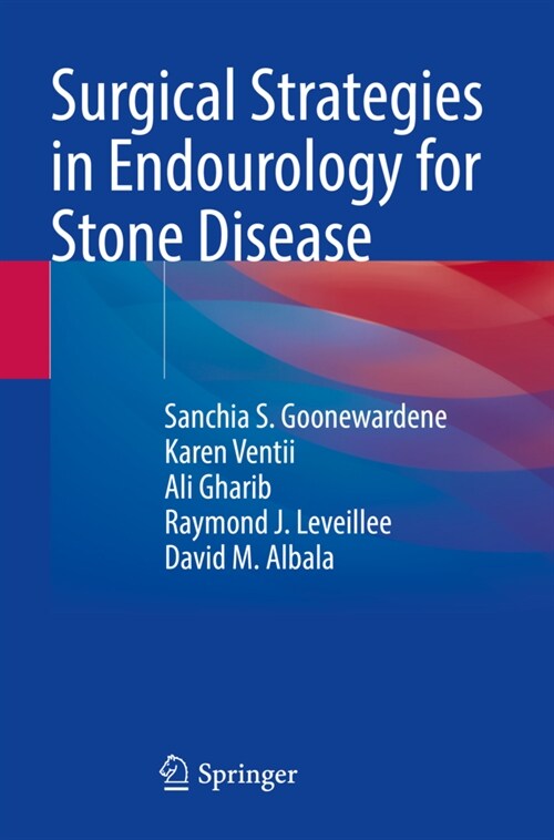 Surgical Strategies in Endourology for Stone Disease (Paperback)
