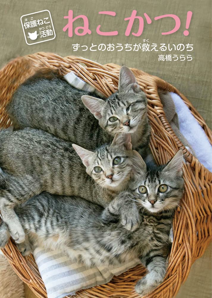 保護ねこ活動 ねこかつ!