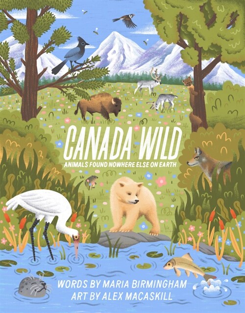 Canada Wild: Animals Found Nowhere Else on Earth (Paperback)