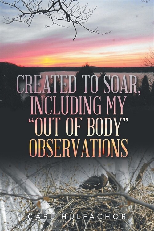 Created to Soar, Including My Out of Body Observations (Paperback)