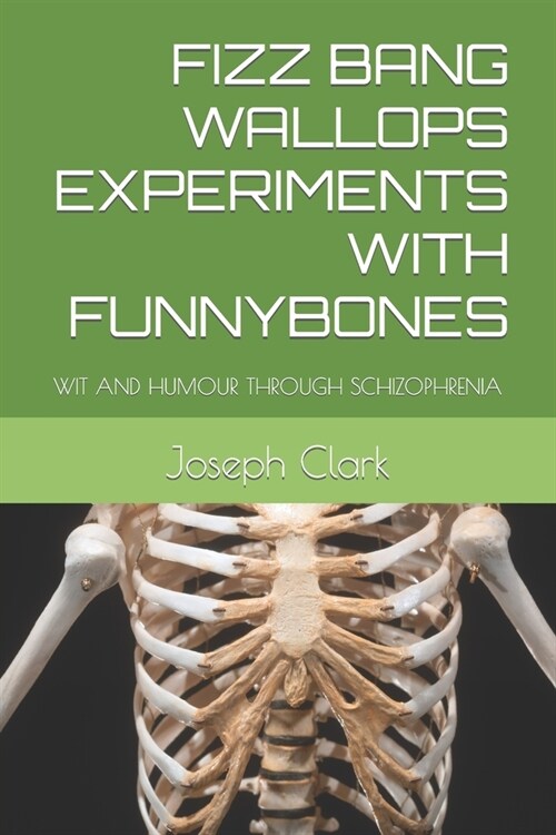 Fizz Bang Wallops Experiments with Funnybones: Wit and Humour Through Schizophrenia (Paperback)