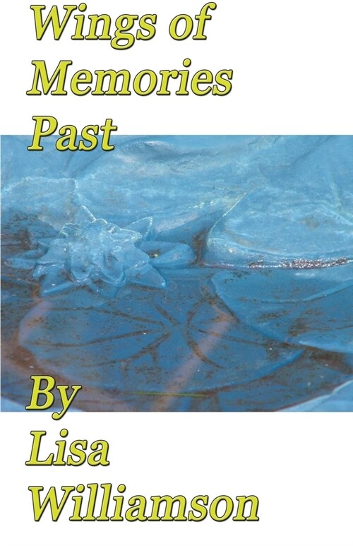 Wings of Memories Past (Paperback)