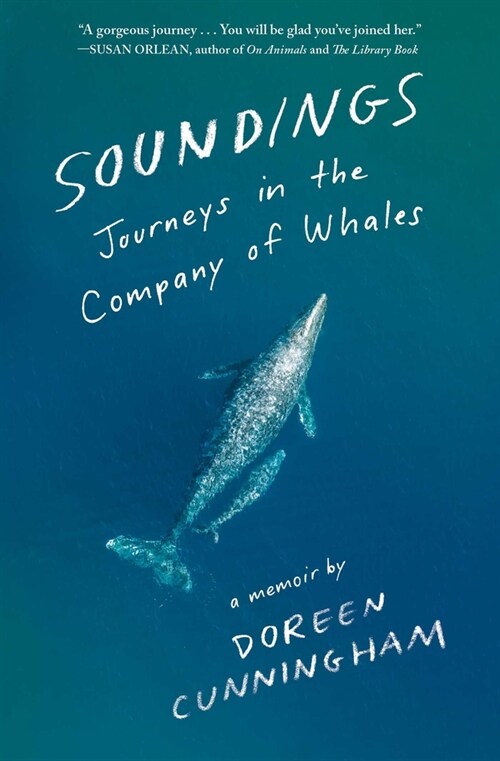 Soundings: Journeying to Alaska in the Company of Whales (Paperback)